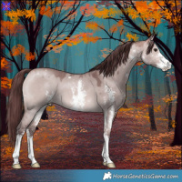 Horse Color:Platinum Chocolate Bay Dun Sabino 