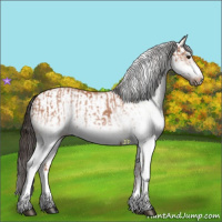 Horse Color:White Spotted Bay Splash  and White Spotted Bay Splash Frame 