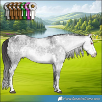 Horse Color:White Spotted Buckskin Chinchilla Dun Sabino Brindle 