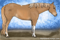 Horse Color:Chestnut  and Chestnut Tobiano 