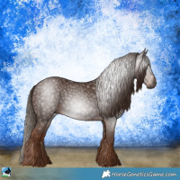 Horse Color:Gray Chestnut 