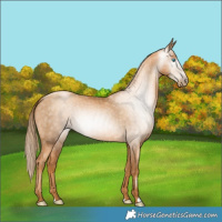 Horse Color:Gray Gold Champagne Pearl 