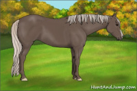 Horse Color:Silver Black 