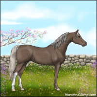 Horse Color:Silver Black 