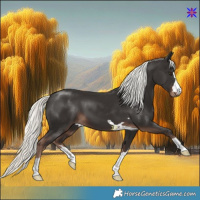 Horse Color:Liver Chestnut Mushroom 