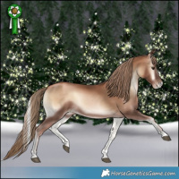 Horse Color:Liver Red Onyx Pearl 