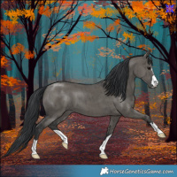 Horse Color:Grullo Brindle 