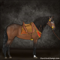 Horse Color:Gray Bay 