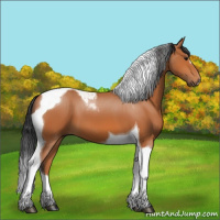Horse Color:Bay Tobiano 