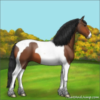 Horse Color:Bay Tobiano 