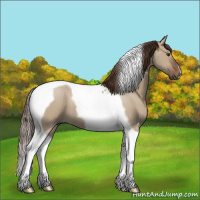 Horse Color:Liver Red Dun Tobiano 