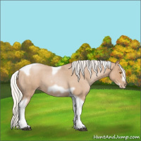 Horse Color:Silver Blue Roan Pearl Tobiano Frame 