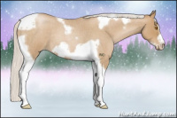 Horse Color:Silver Blue Roan Pearl Tobiano Frame 