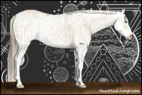 Horse Color:Perlino Sabino  and Buckskin Sabino 