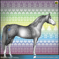 Horse Color:Gray White Spotted Black 