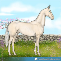 Horse Color:Palomino Pearl 