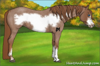 Horse Color:Red Roan Frame