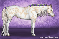 Horse Color:Silver Amber Champagne Roan Dun Splash Tobiano Frame Appaloosa Rabicano 