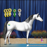 Horse Color:Blue Roan Near Fewspot Rabicano 
