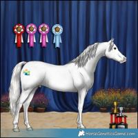 Horse Color:White Spotted Silver Black Appaloosa 
