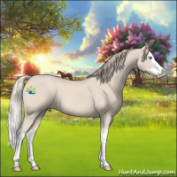 Horse Color:Smoky Creme Splash 