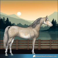 Horse Color:White Spotted Silver Buckskin Dun 
