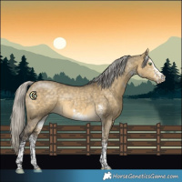 Horse Color:White Spotted Silver Buckskin Dun 