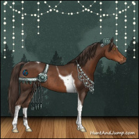Horse Color:Liver Chestnut Tobiano Rabicano 