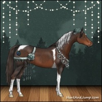 Horse Color:Liver Chestnut Tobiano 