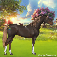 Horse Color:Liver Chestnut Tobiano 