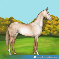 Horse Color:Gray Gold Champagne Pearl 