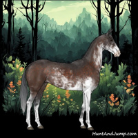 Horse Color:Brown Sabino Rabicano  and Brown Sabino 