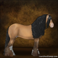 Horse Color:Gray Amber Champagne 