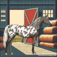 Horse Color:Liver Red Dun Mushroom Appaloosa 