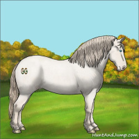 Horse Color:Smoky Creme Roan Dun 
