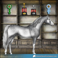 Horse Color:Silver Blue Onyx Chinchilla