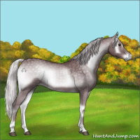 Horse Color:Chocolate Silver Blue Onyx Chinchilla 