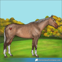 Horse Color:White Spotted Silver Brown Dun Rabicano 