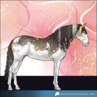 Horse Color:White Spotted Buckskin Splash 