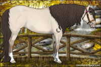 Horse Color:Amber Champagne Dun 