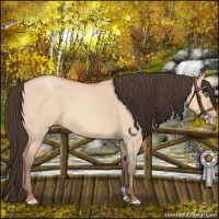 Horse Color:Amber Champagne Dun 