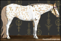 Horse Color:White Spotted Palomino Blanket 