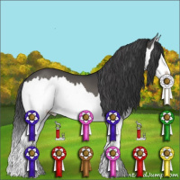 Horse Color:Grullo Splash 