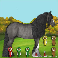 Horse Color:Grullo Rabicano 