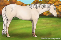 Horse Color:Silver Sable Cream Champagne Pearl 