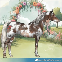 Horse Color:White Spotted Liver Chestnut Mushroom 