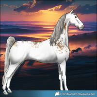 Horse Color:White Spotted Silver Buckskin 
