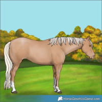 Horse Color:Silver Black Pearl Tobiano 