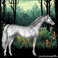 Horse Color:Silver Grullo Chinchilla Onyx Brindle 