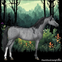 Horse Color:Grullo Chinchilla Rabicano Brindle